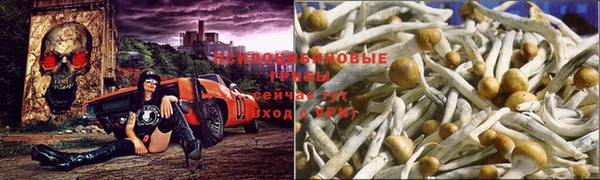 COCAINE Балабаново