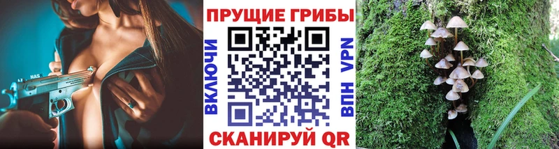 Галлюциногенные грибы Magic Shrooms  Краснозаводск 